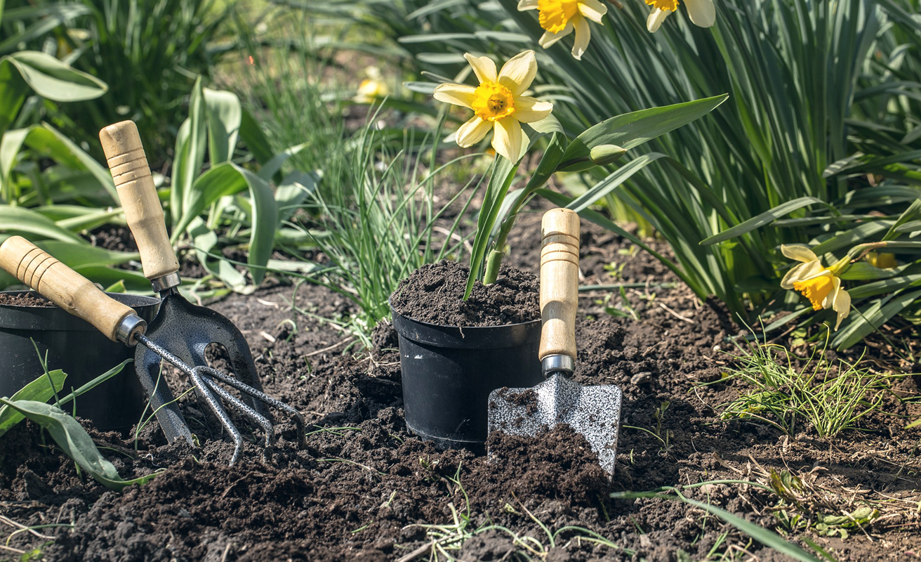 Erdarbeiten und Baggerarbeiten
