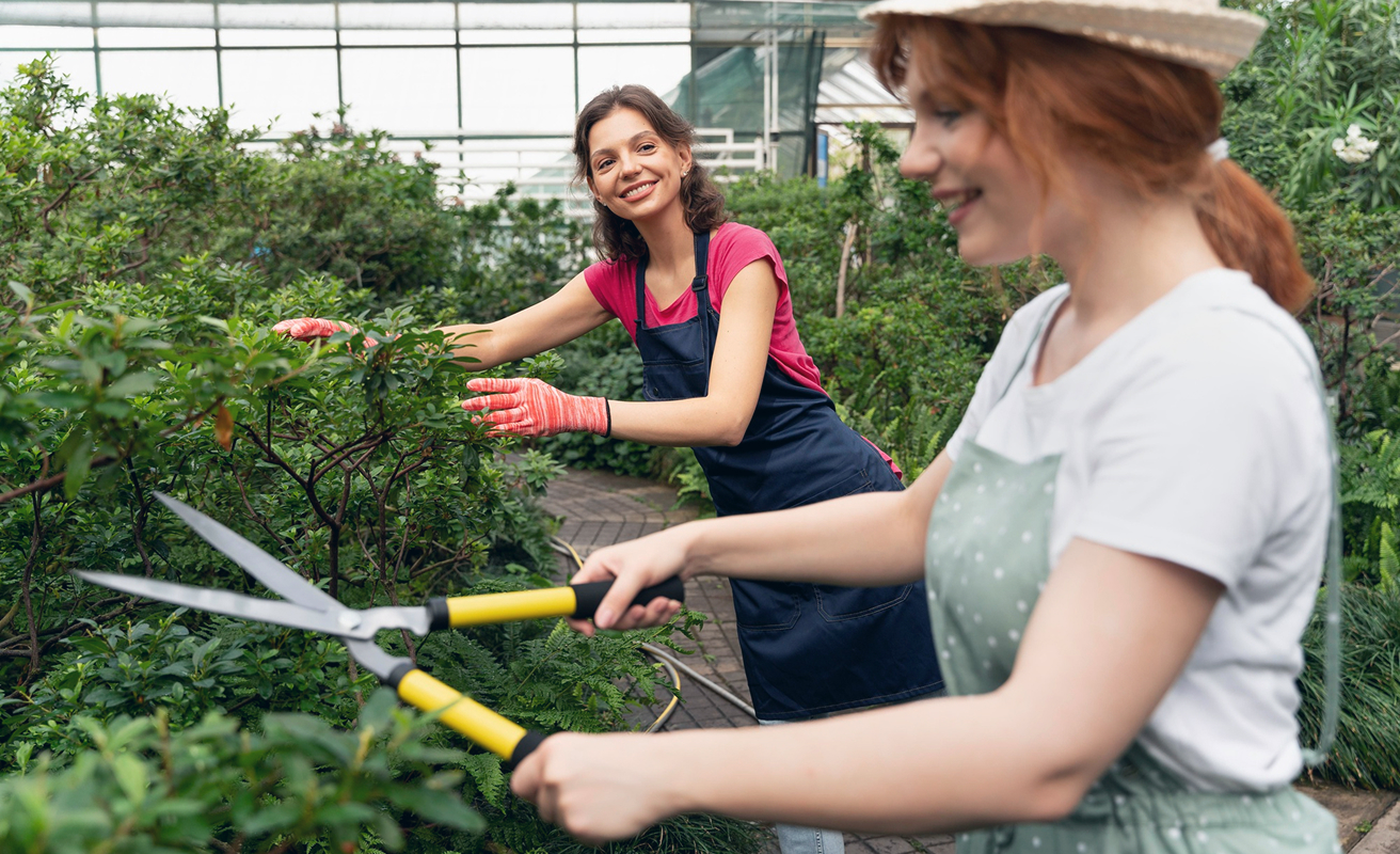 Gartenpflege und -gestaltung